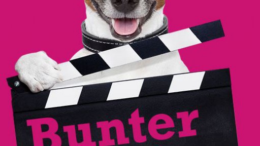 Best of Bunter Hund 2016